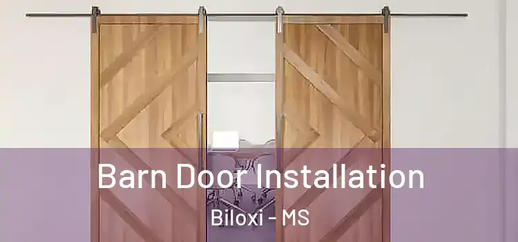  Barn Door Installation Biloxi - MS