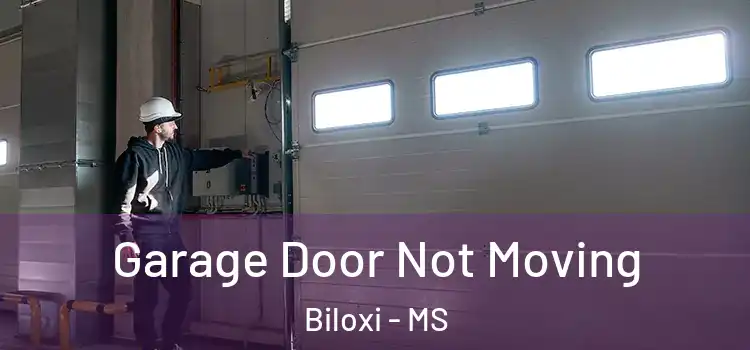  Garage Door Not Moving Biloxi - MS