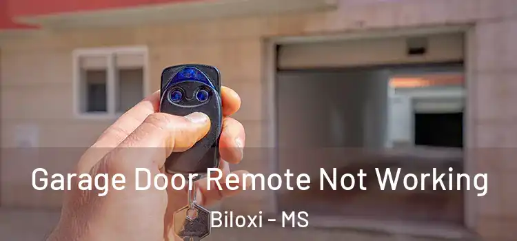  Garage Door Remote Not Working Biloxi - MS