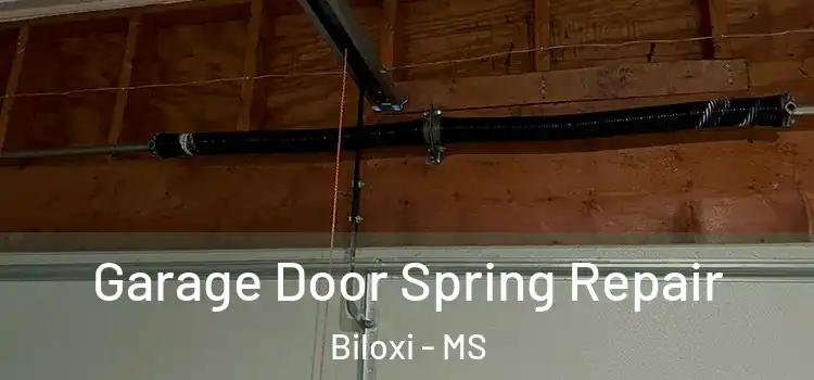  Garage Door Spring Repair Biloxi - MS