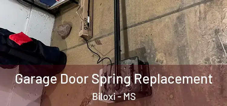  Garage Door Spring Replacement Biloxi - MS