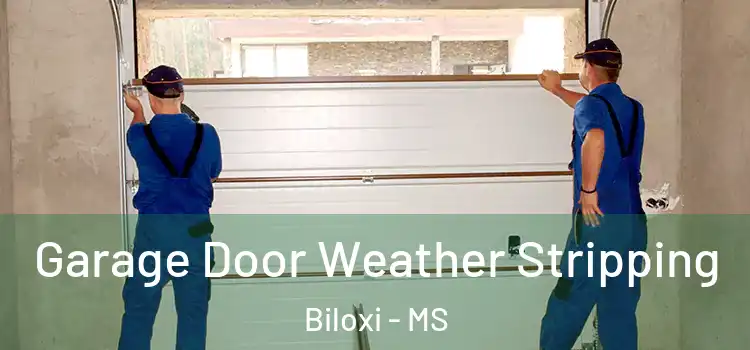  Garage Door Weather Stripping Biloxi - MS