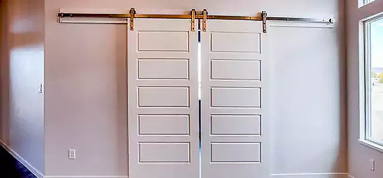 Glass Barn Door with Installation Hardware Kit Biloxi