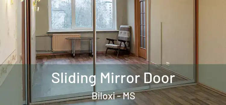  Sliding Mirror Door Biloxi - MS